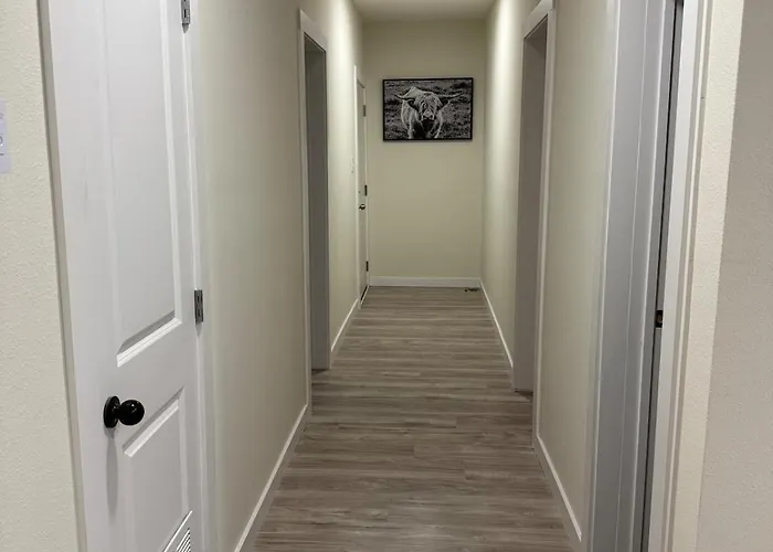 Spacious 3 Bedroom 2 Bath In Downtown