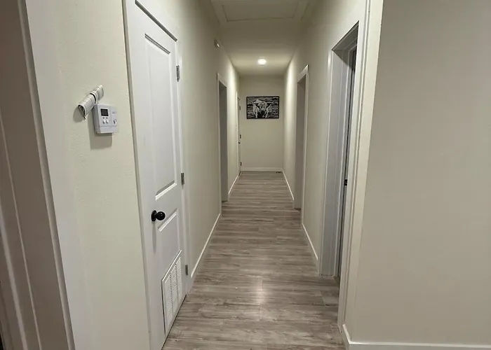 Spacious 3 Bedroom 2 Bath In Downtown *
